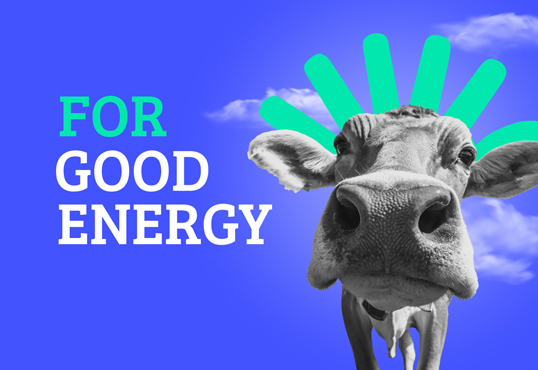 Good Energy Campaign for EU in Ko ...