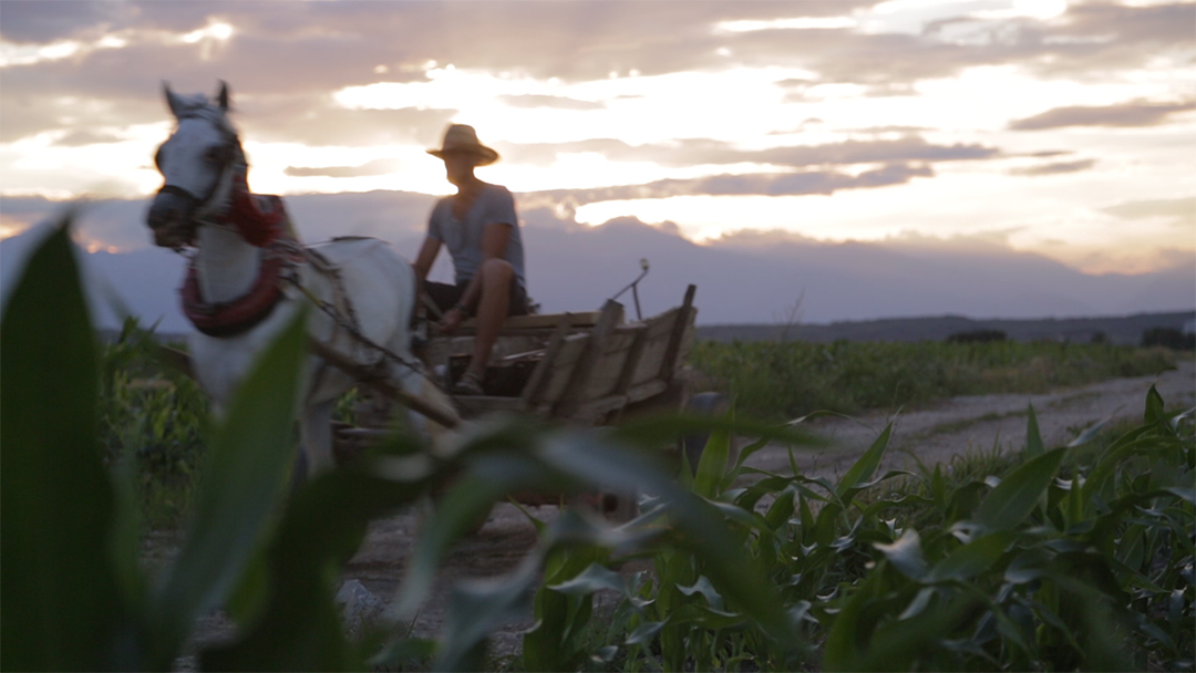 Agricultural Census Kosovo – Awar ...