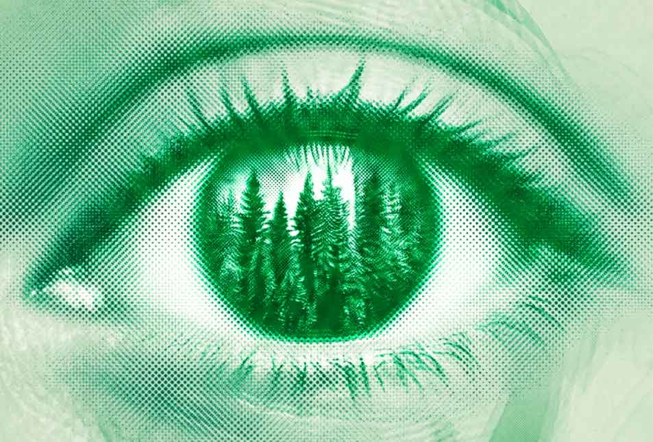 Think Green, Act Green